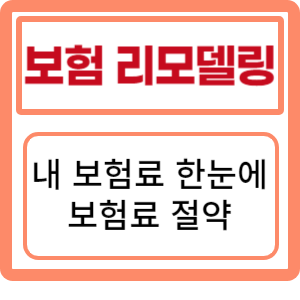 보험리모델링 내 보험료 한눈에 정리하고 보험료 절약의 비결